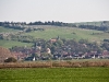 IMG_1876