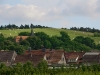 IMG_7392