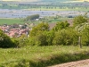 image034