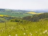 image010
