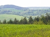 image020