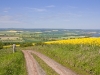 image033
