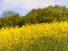 image040