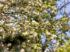image017