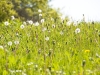 image019