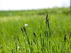 image024