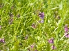 image025